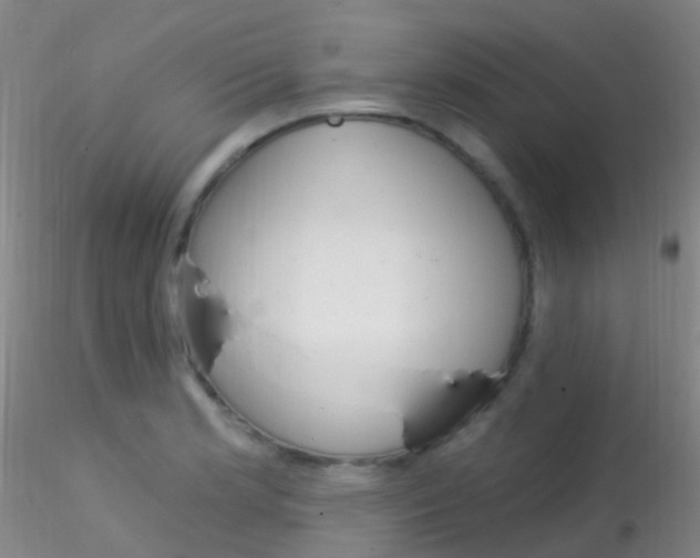 X0000115221181200911251524