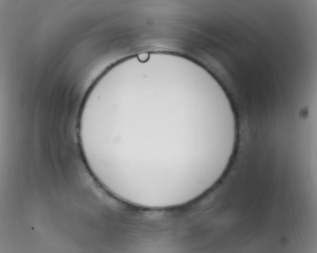 X0000115221182200911251524