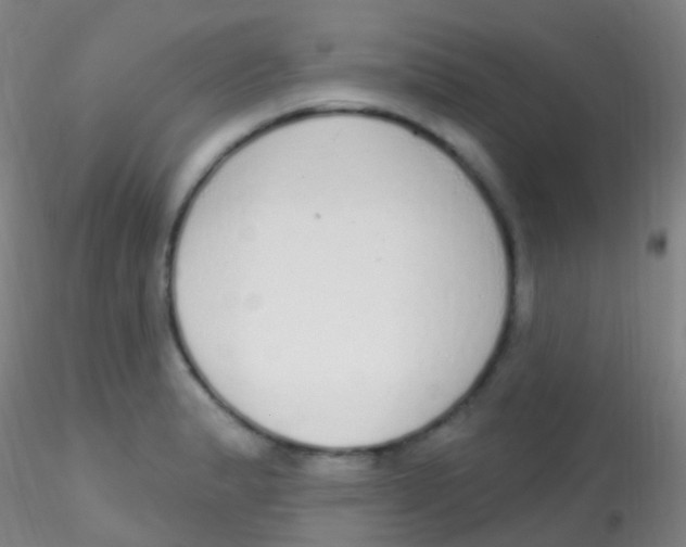 X0000115221183200911251524