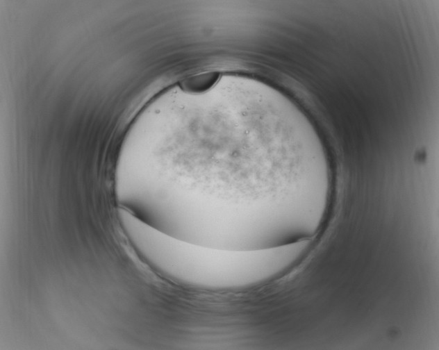 X0000115221185200911251524