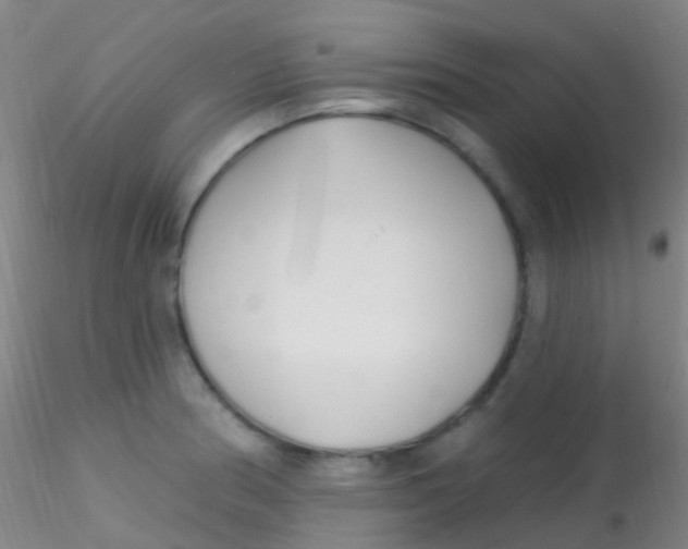X0000115221186200911251524