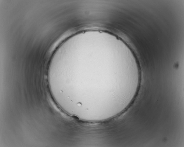 X0000115221189200911251524