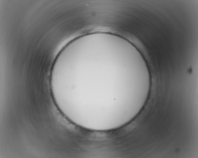 X0000115221190200911251524