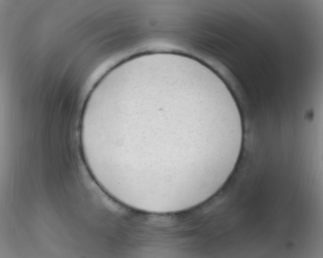 X0000115221191200911251524