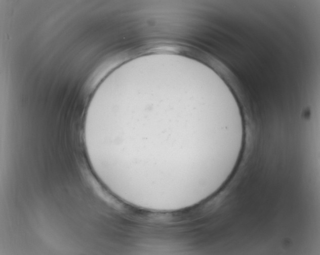 X0000115221194200911251524