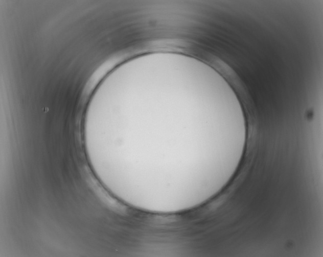 X0000115221196200911251524
