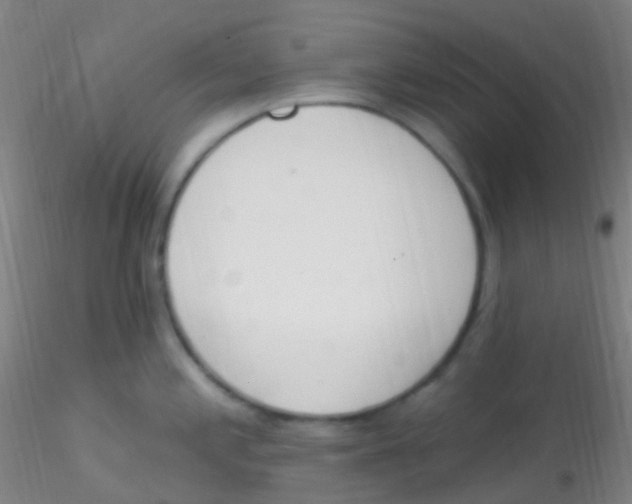 X0000115221197200911251524