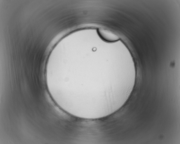 X0000115221199200911251524
