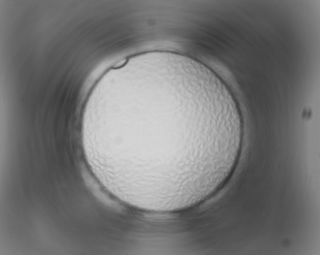 X0000115221200200911251524
