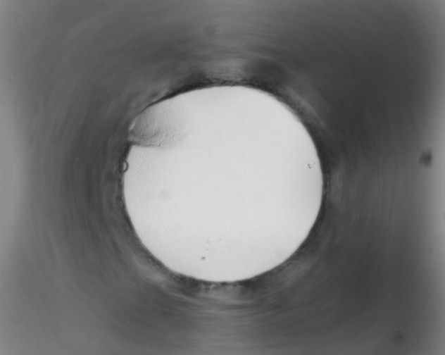X0000115221201200911251523