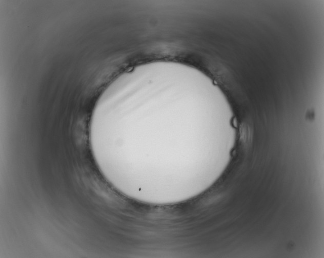 X0000115221203200911251523