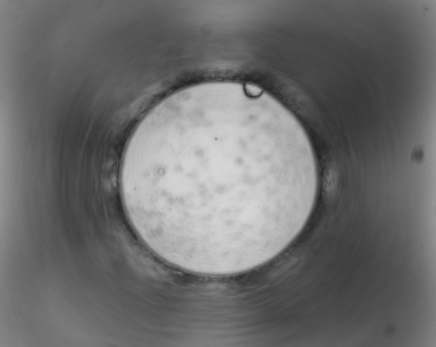 X0000115221204200911251523