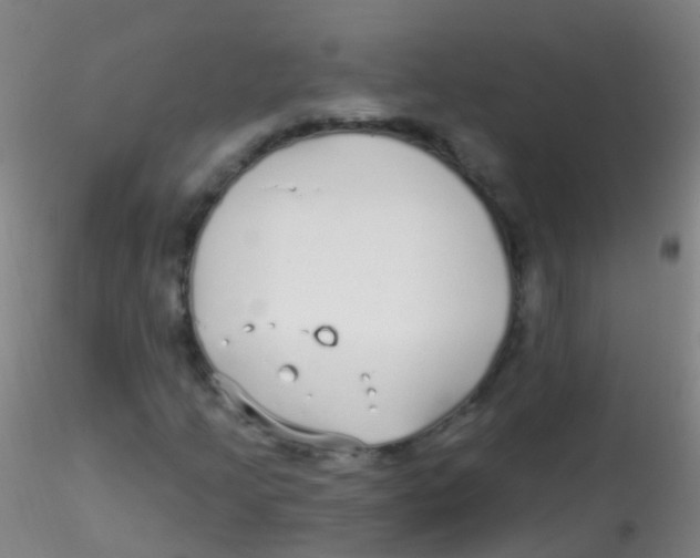X0000115221205200911251523