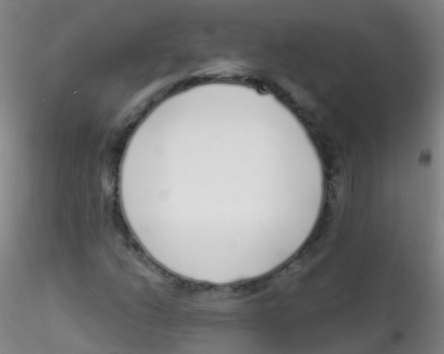 X0000115221206200911251523