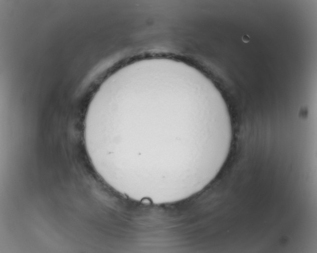 X0000115221207200911251523