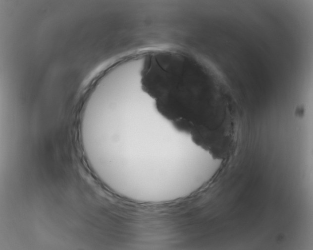 X0000115221208200911251523