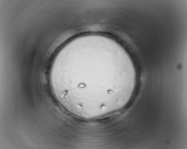 X0000115221209200911251523