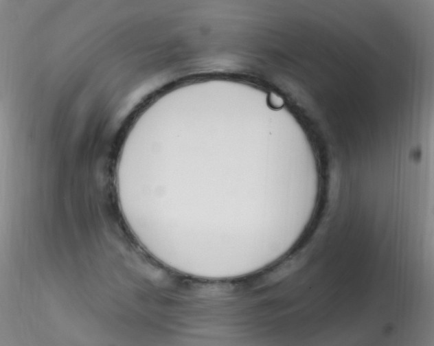 X0000115221210200911251523