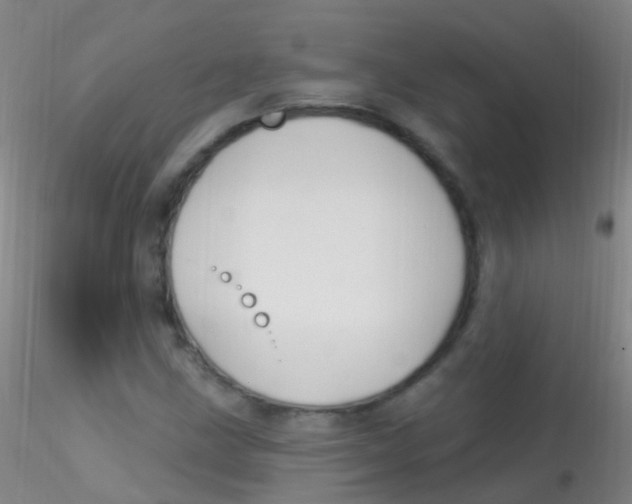 X0000115221211200911251523