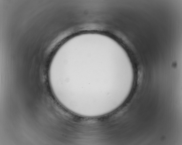 X0000115221213200911251523