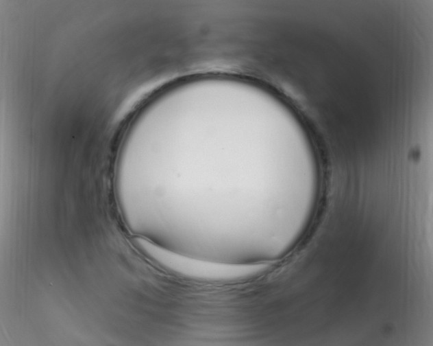 X0000115221214200911251523