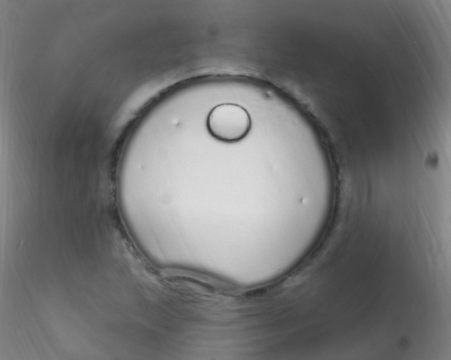 X0000115221215200911251523