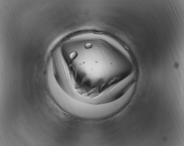 X0000115221216200911251523