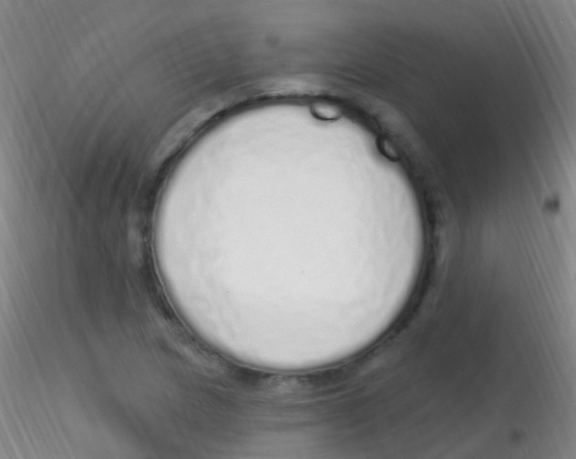 X0000115221217200911251523