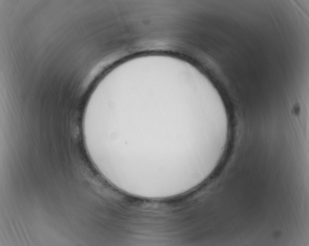 X0000115221218200911251523