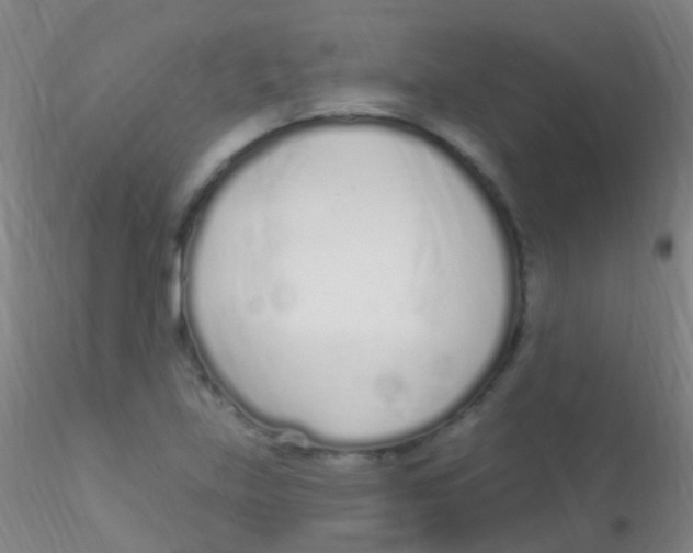 X0000115221219200911251523