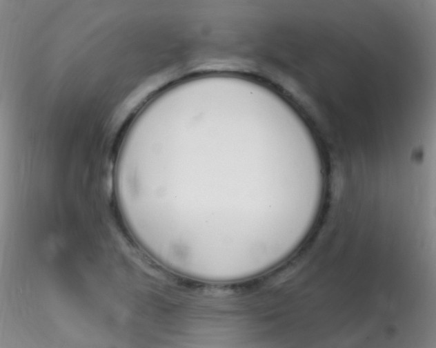 X0000115221221200911251524