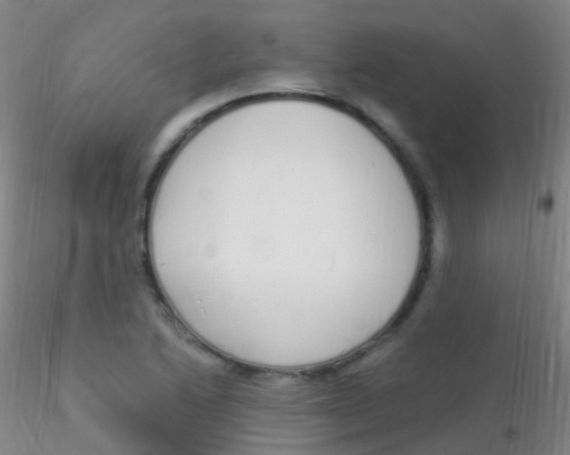 X0000115221222200911251524