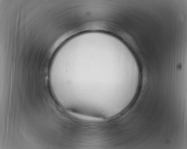 X0000115221226200911251524