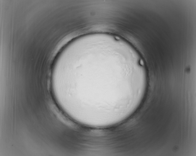 X0000115221227200911251524