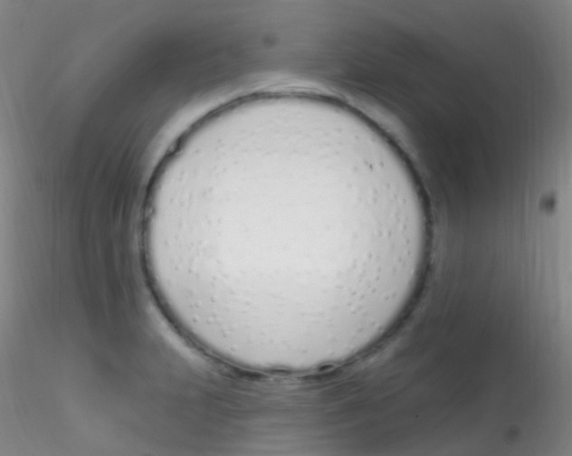 X0000115221231200911251524