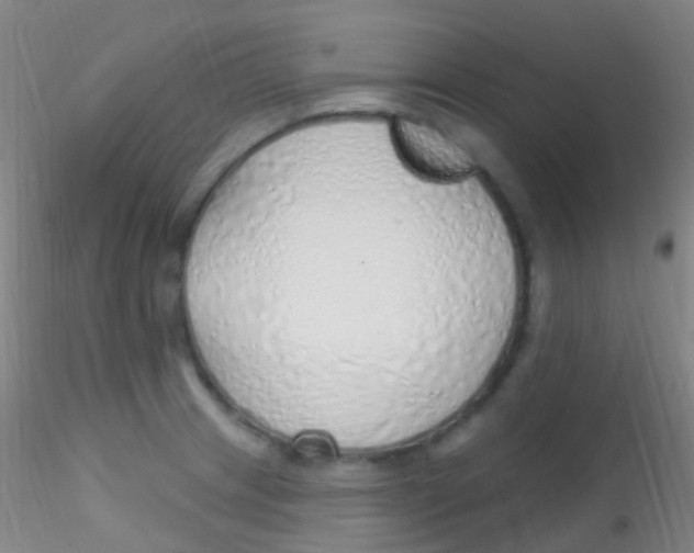 X0000115221233200911251524