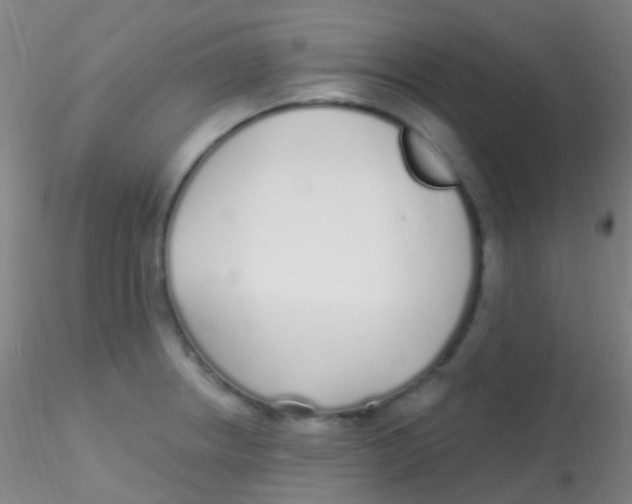 X0000115221234200911251524