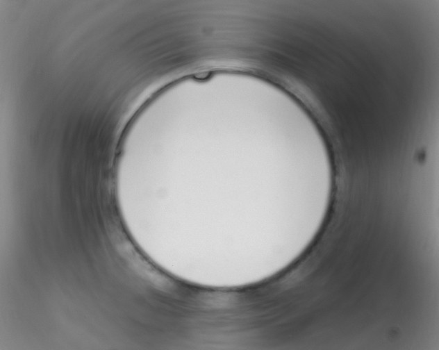 X0000115221236200911251524