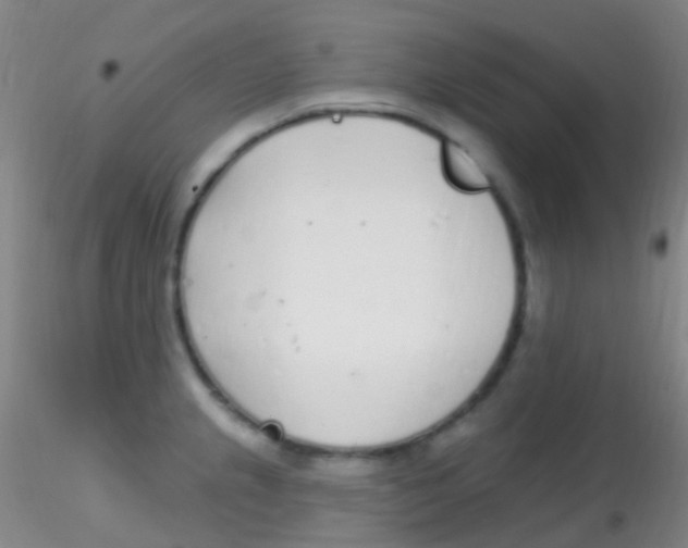 X0000115221237200911251524