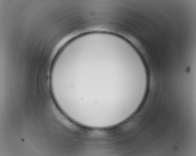X0000115221238200911251524