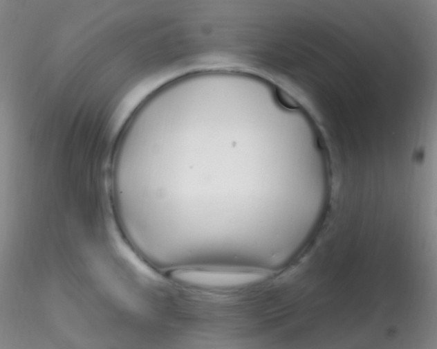X0000115221239200911251524