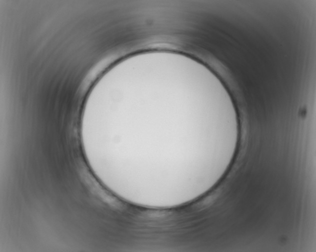 X0000115221240200911251524