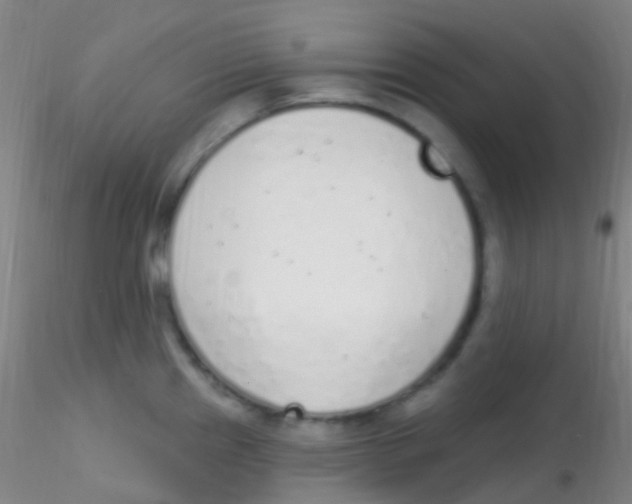 X0000115221241200911251524