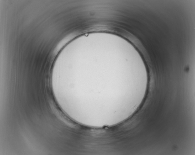X0000115221242200911251524