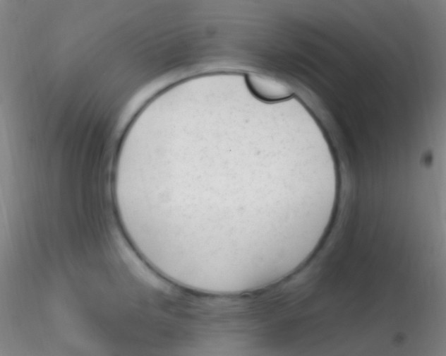 X0000115221246200911251524
