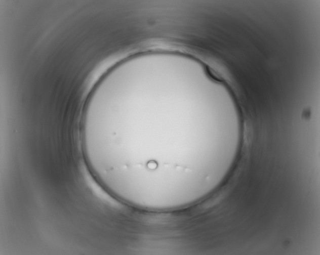 X0000115221247200911251524