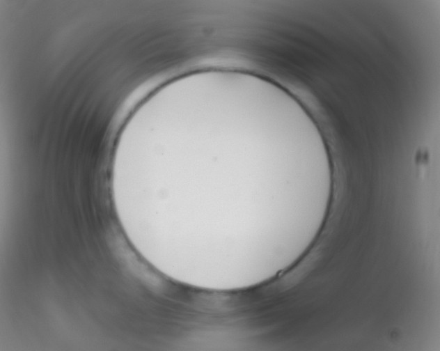 X0000115221248200911251524
