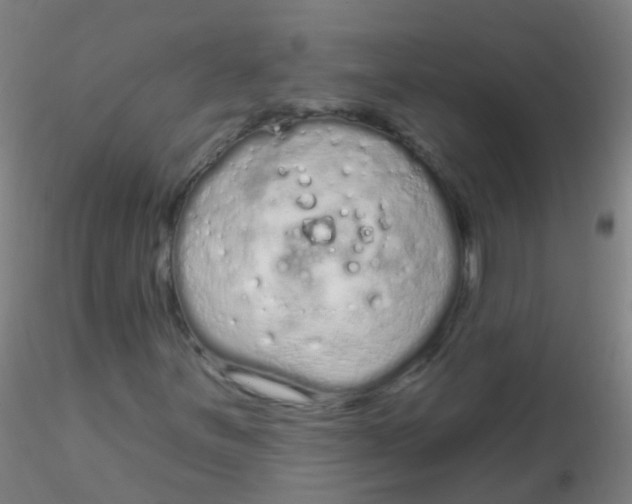 X0000115221251200911251523