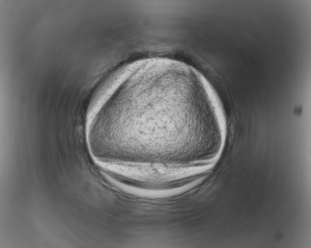 X0000115221252200911251523