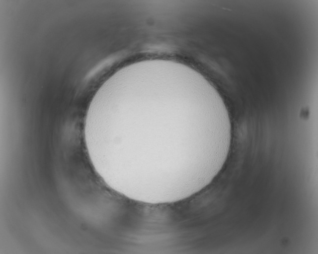 X0000115221254200911251523